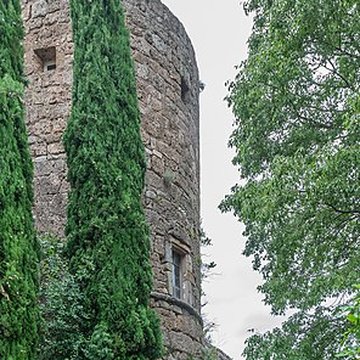 Ancien château ou donjon
