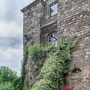 Ancien château ou donjon