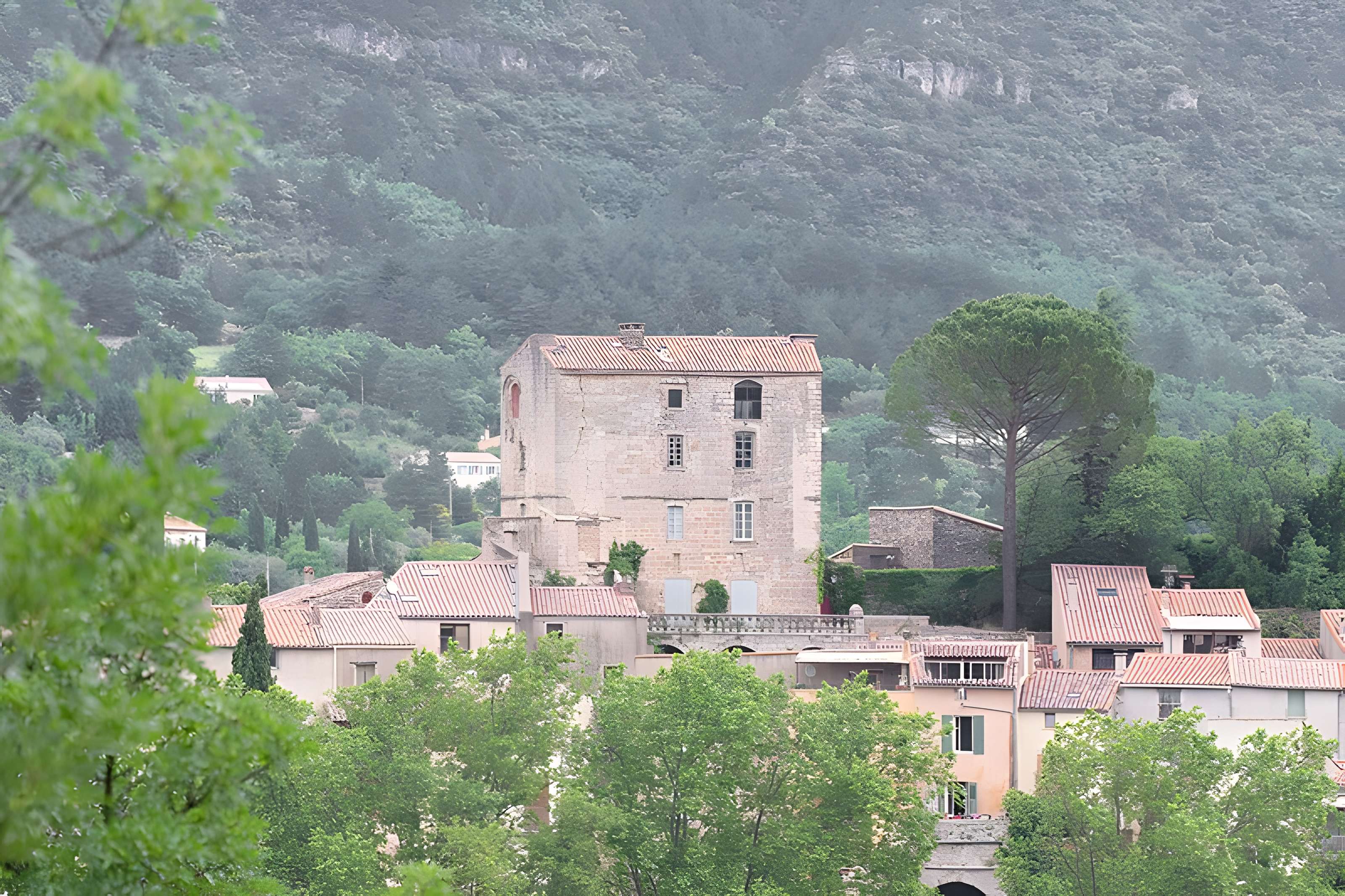Ancien château ou donjon