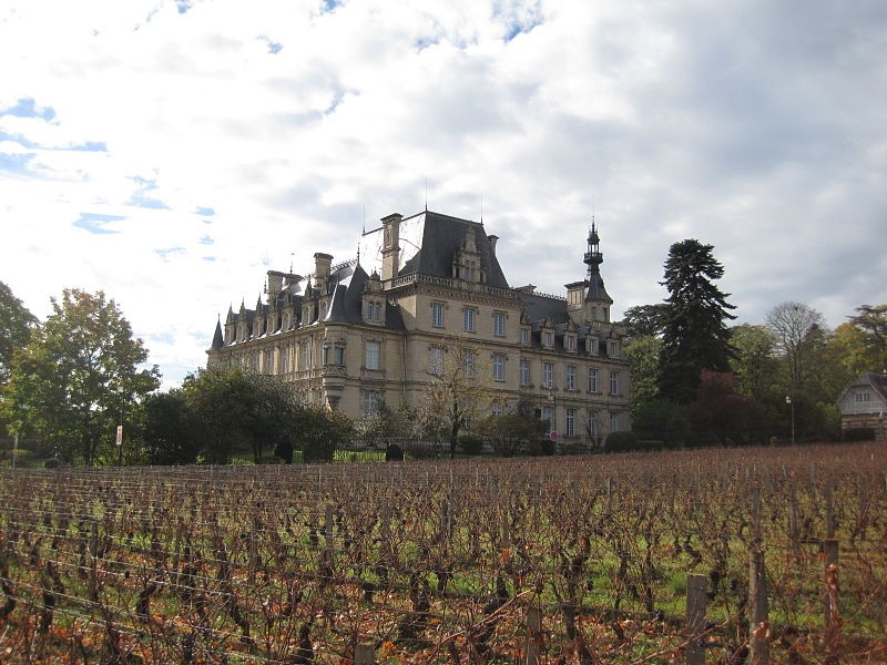 Photo de Château de Stephen Liegeard