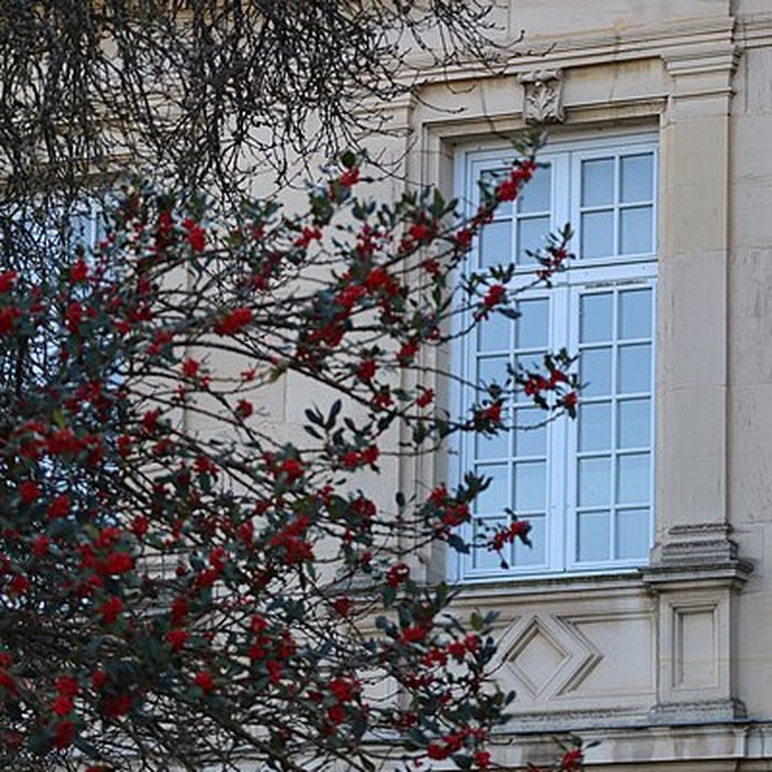 Photo de Château de Stephen Liegeard