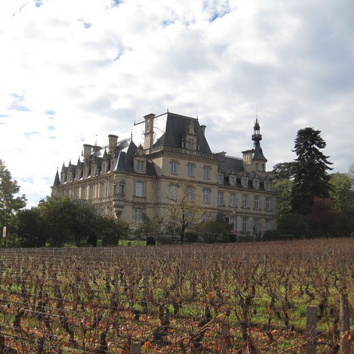 Photo de Château de Stephen Liegeard