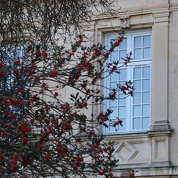 Château de Stephen Liegeard
