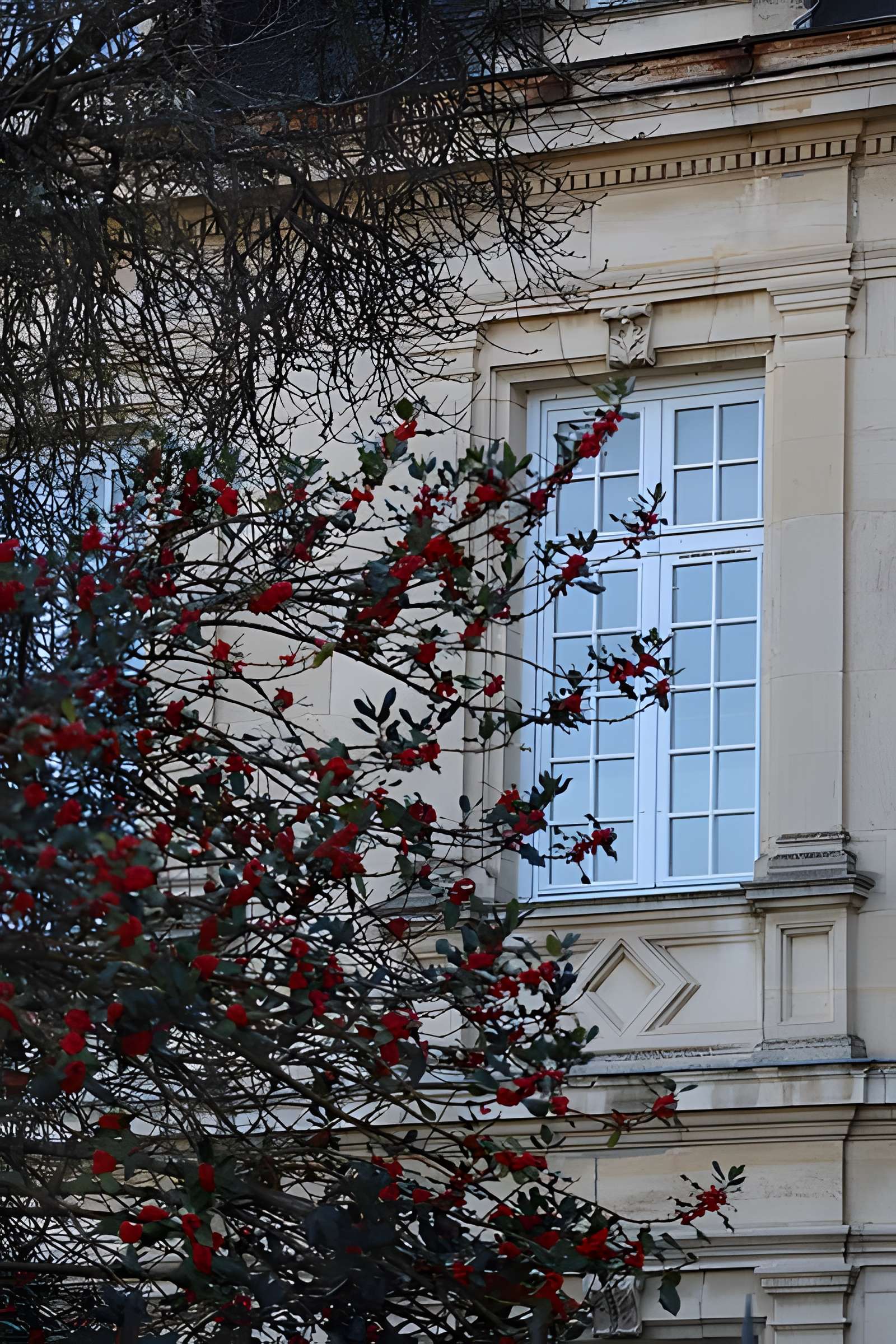 Château de Stephen Liegeard