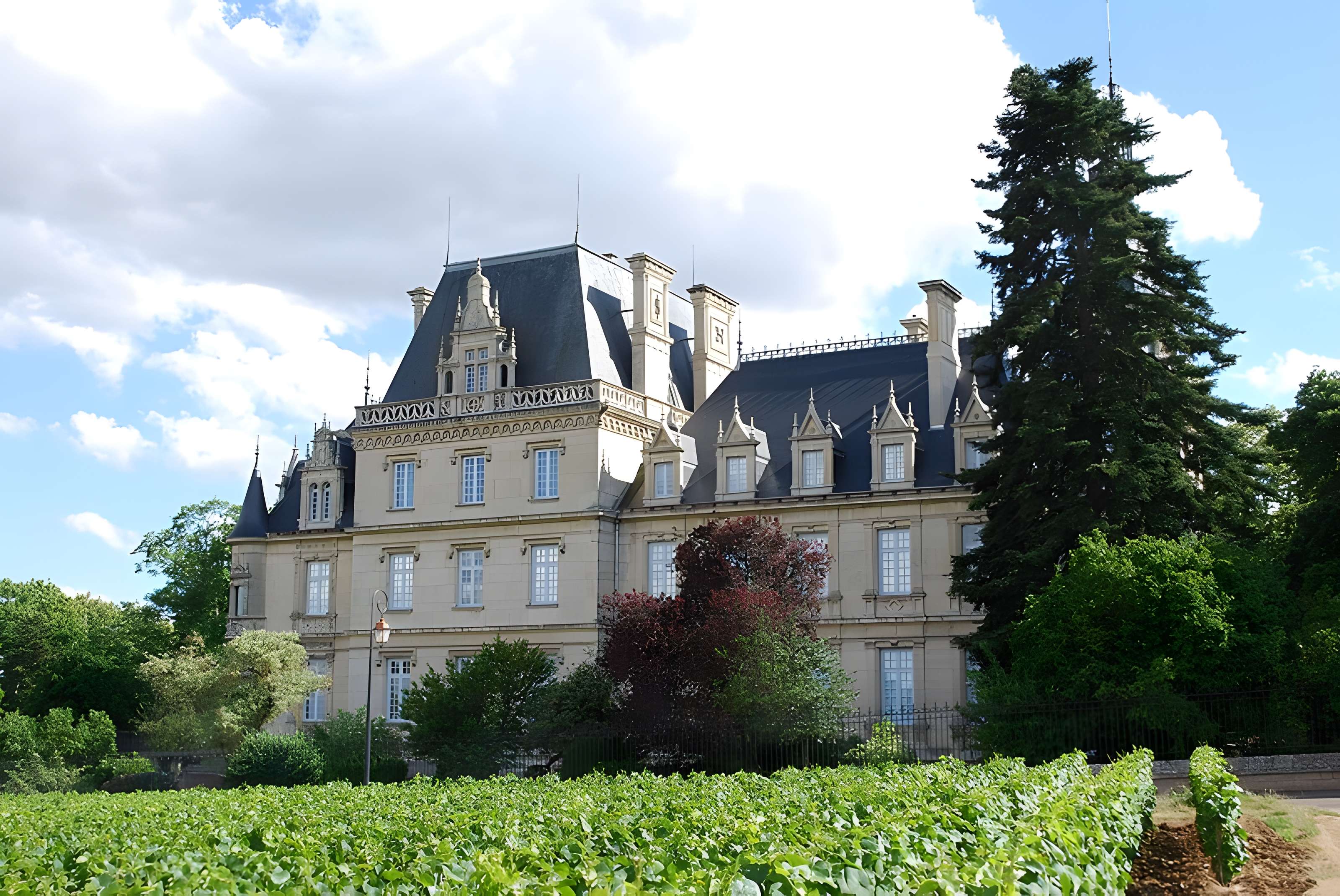Château de Stephen Liegeard