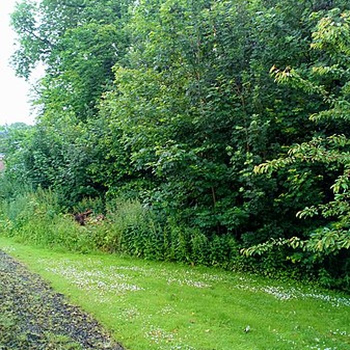 Photo de Château de Suzanne