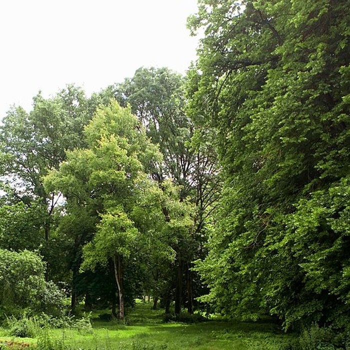 Photo de Château de Suzanne