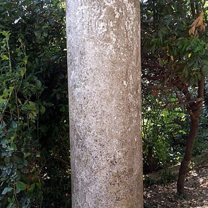 Photo de Château de Teillan