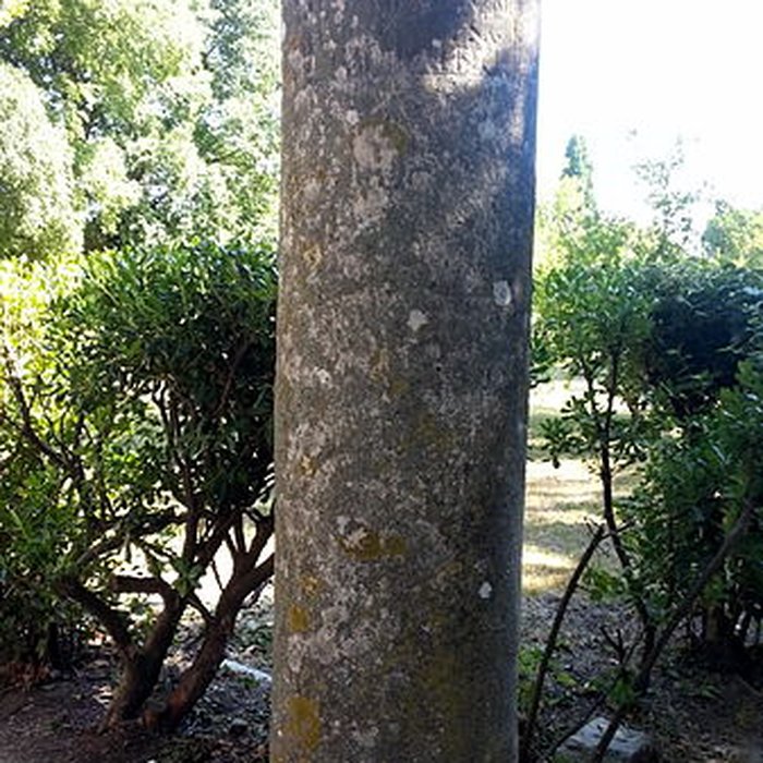 Photo de Château de Teillan