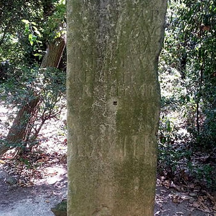 Photo de Château de Teillan