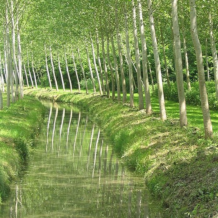 Photo de Château de Thorigny-sur-Oreuse
