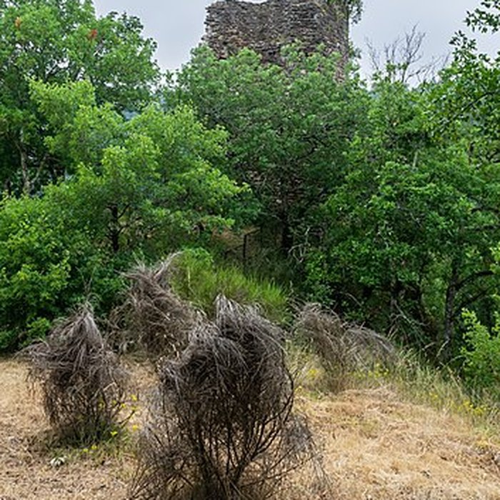 Photo de Château de Thuriès