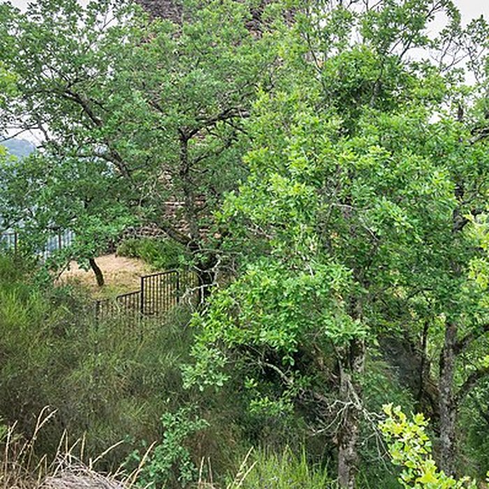 Photo de Château de Thuriès