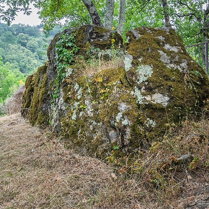 Photo de Château de Thuriès