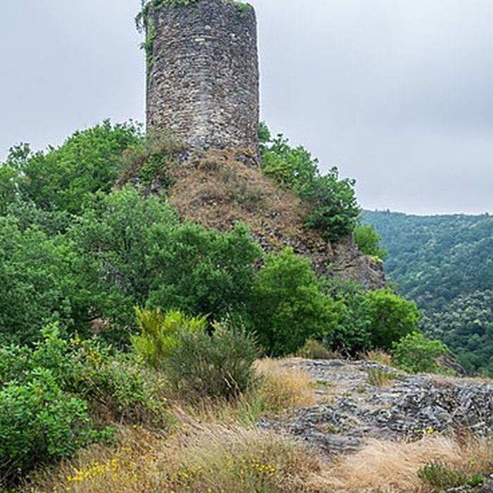 Photo de Château de Thuriès