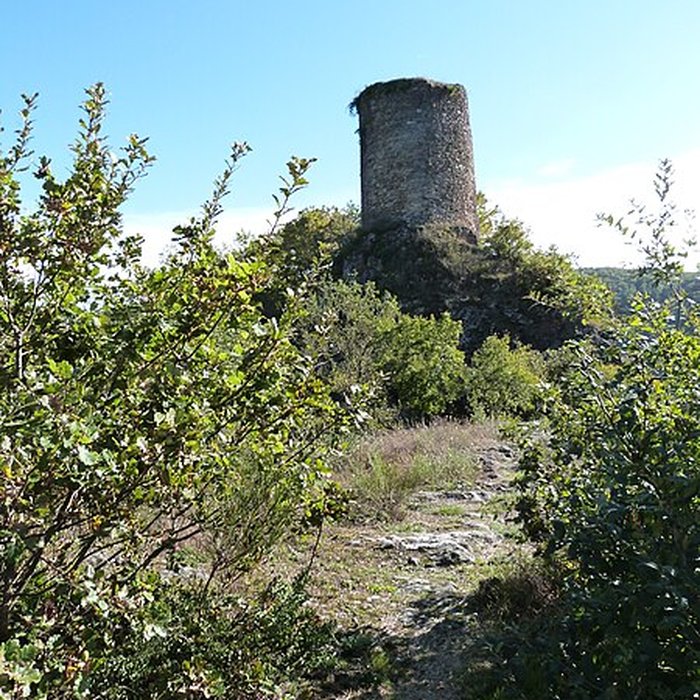 Photo de Château de Thuriès