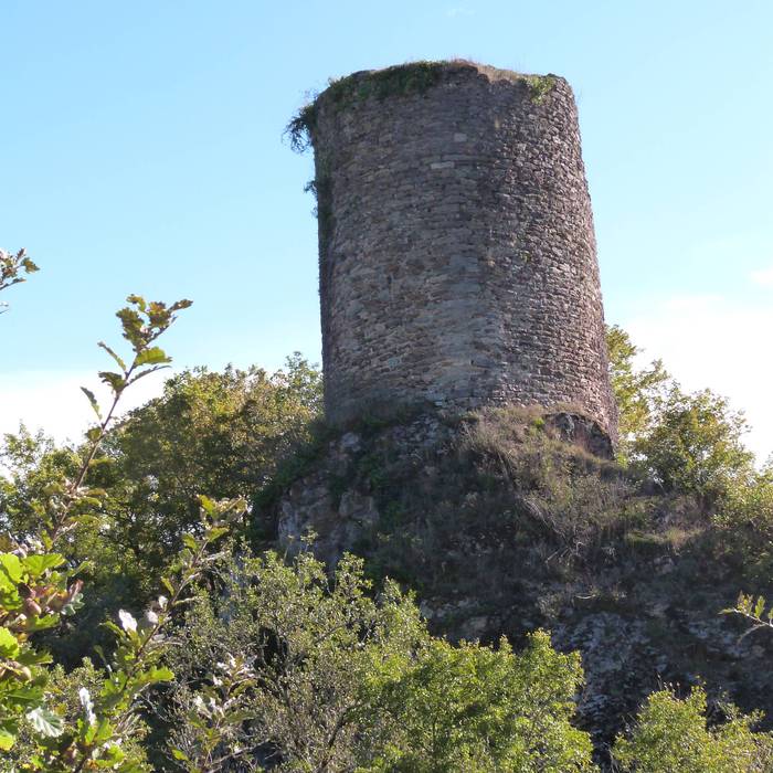 Photo de Château de Thuriès
