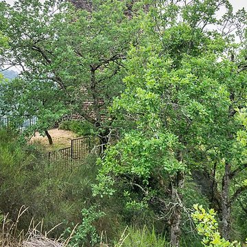 Château de Thuriès