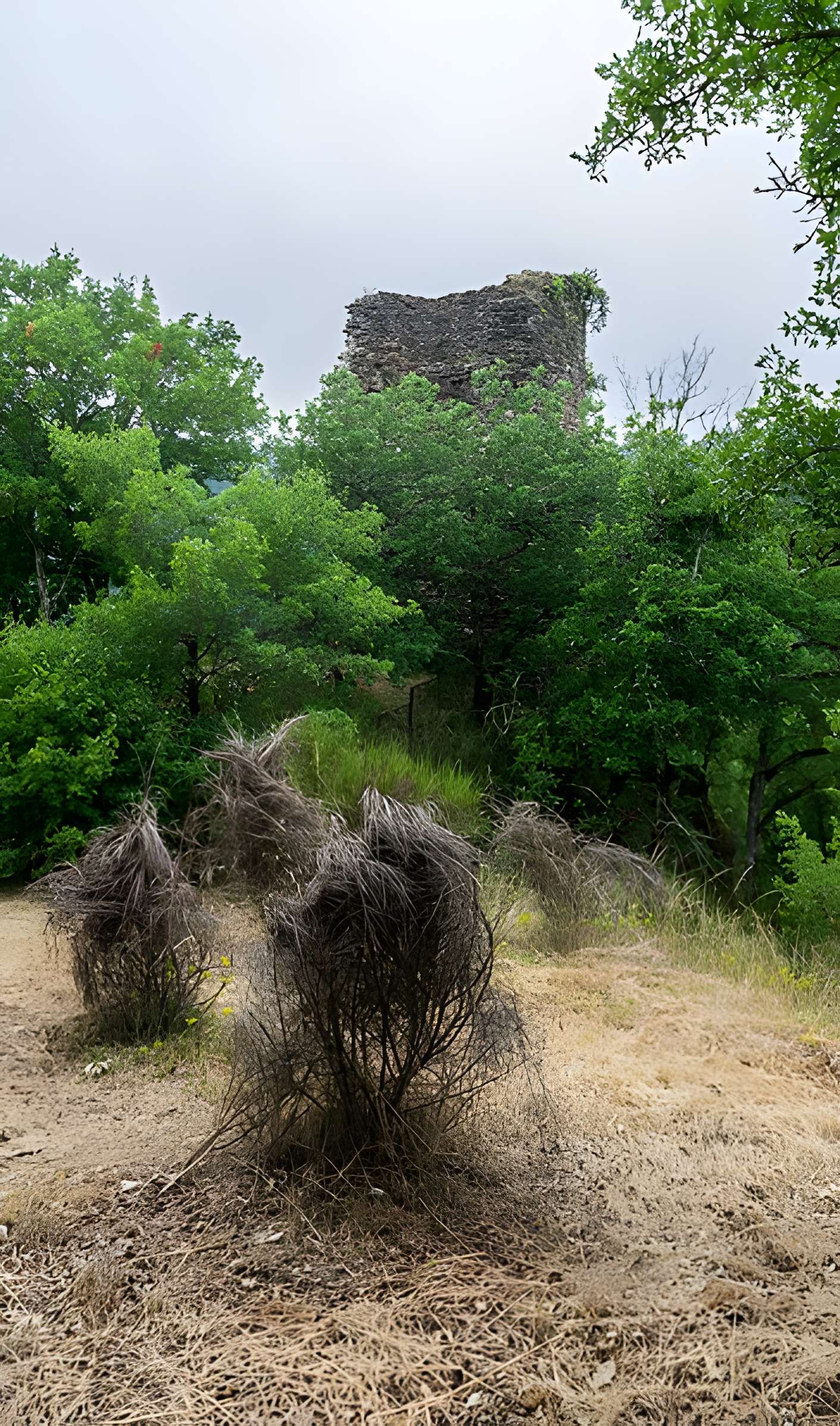 Château de Thuriès