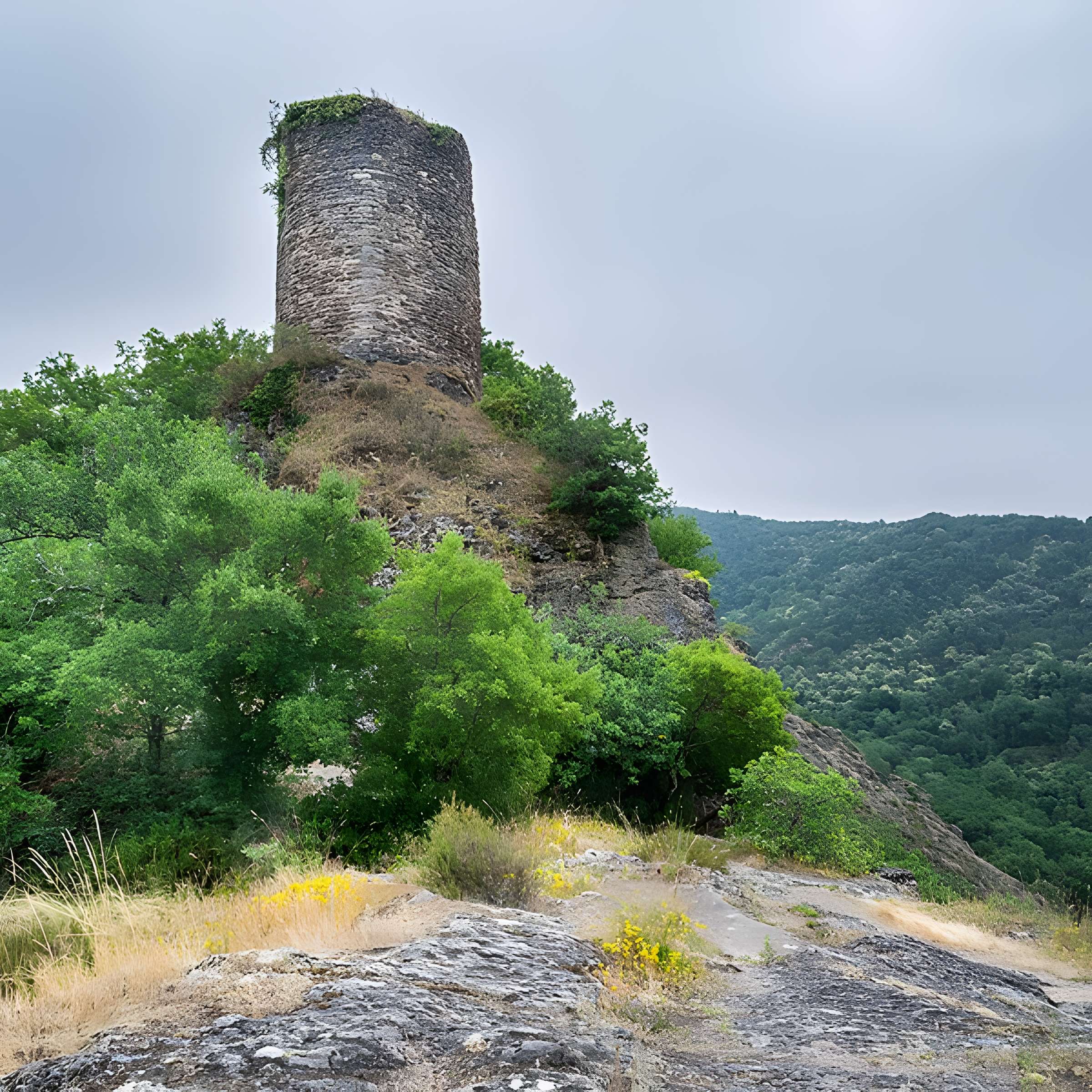 Château de Thuriès