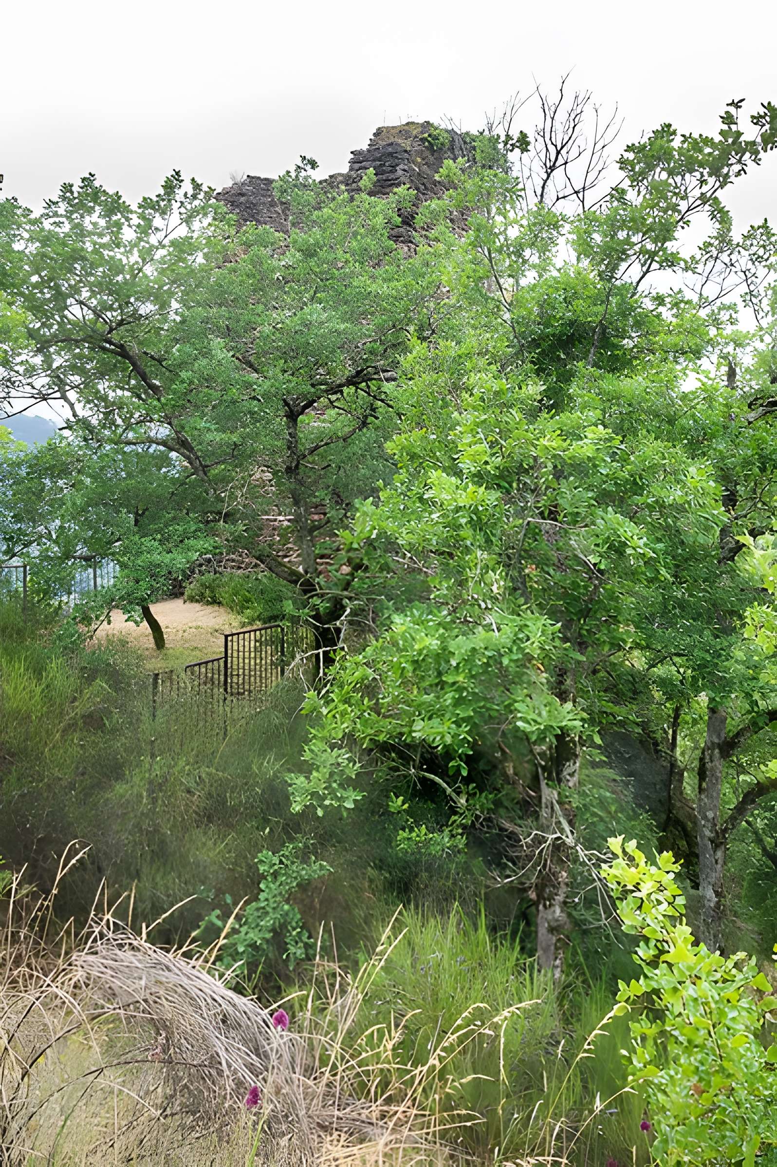 Château de Thuriès