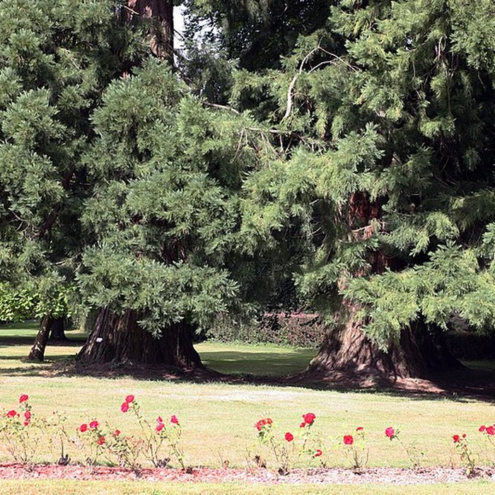 Photo de Château de Trélon