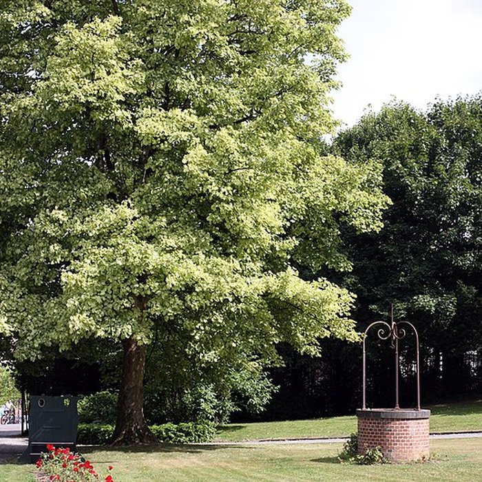 Photo de Château de Trélon