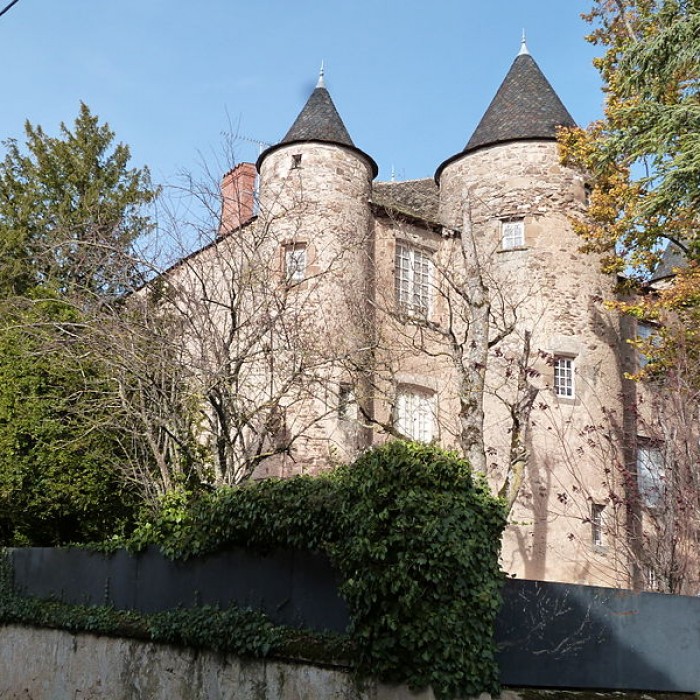 Photo de Château de Trévien