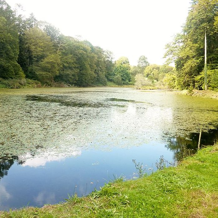 Photo de Château et parc de Trohanet