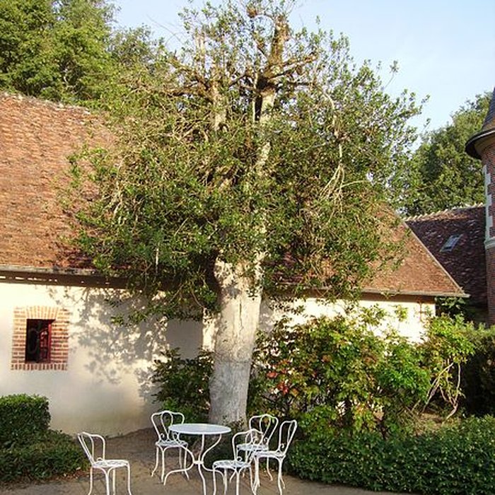 Photo de Château de Troussay