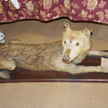 Château de Varaignes