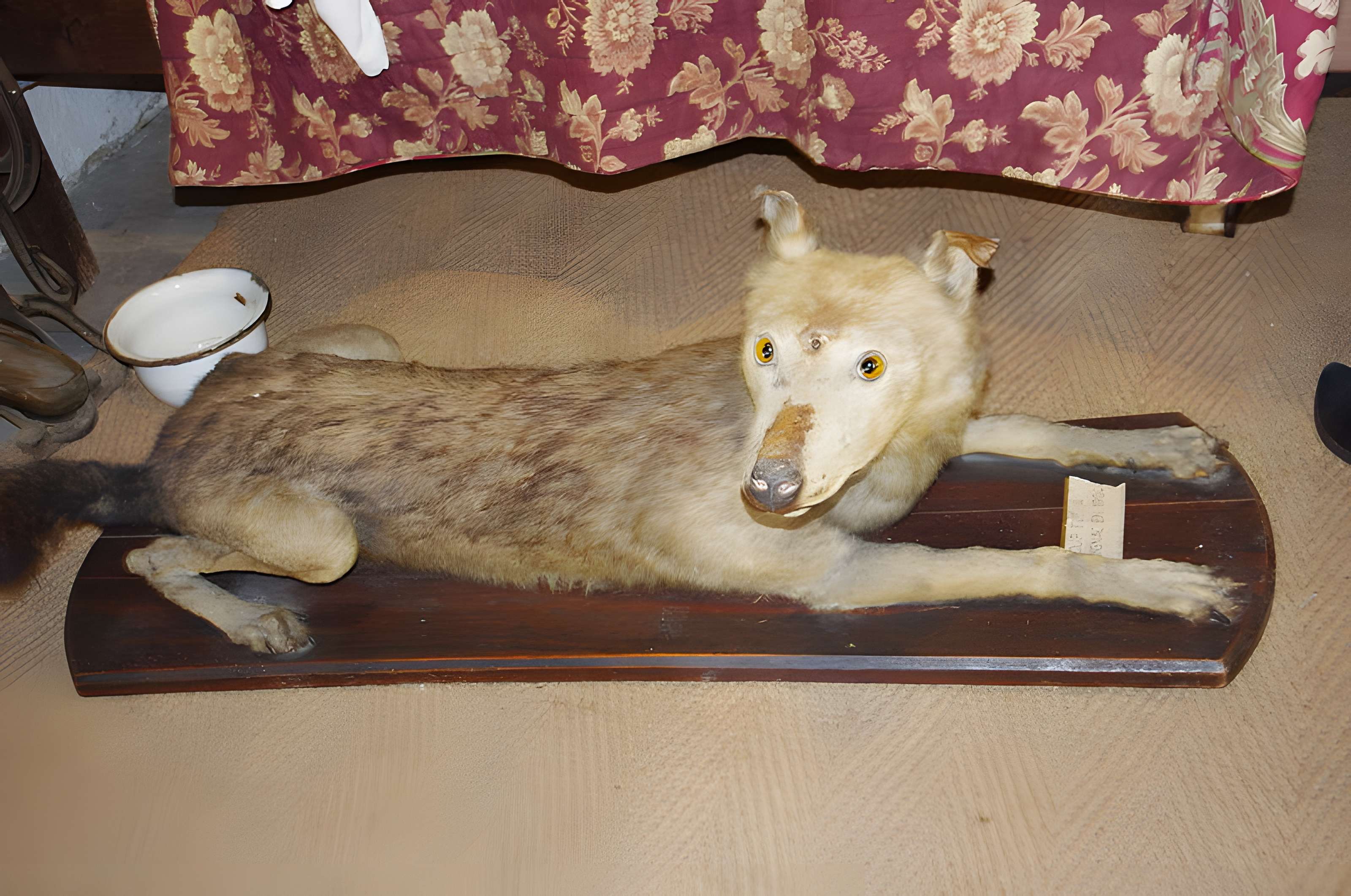 Château de Varaignes