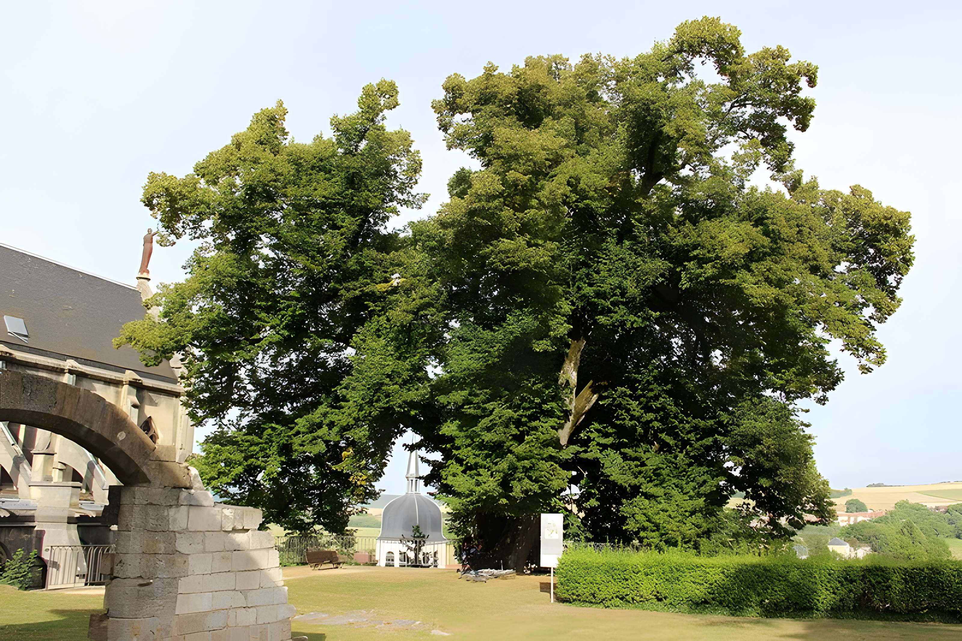 Château de Vaucouleurs