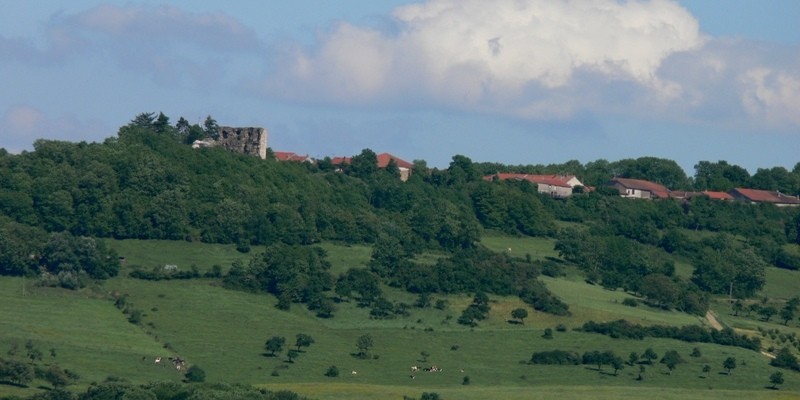 Photo de Château de Vaudémont