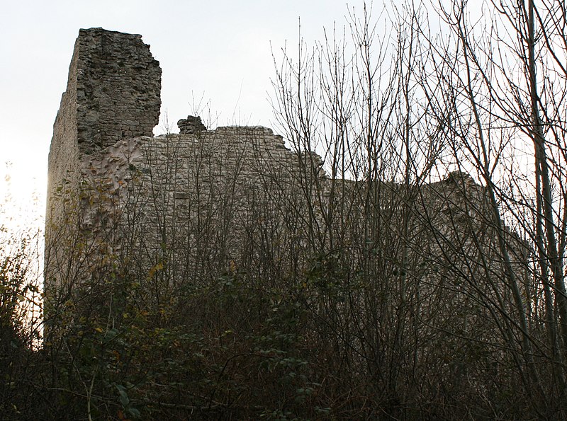 Château de Vaudémont