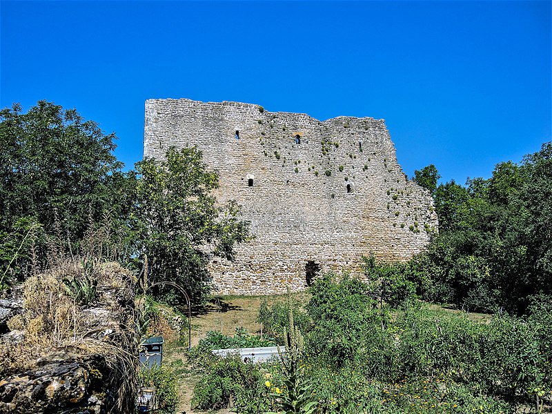 Château de Vaudémont