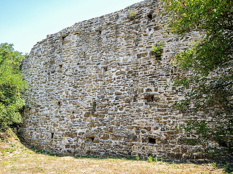 Château de Vaudémont