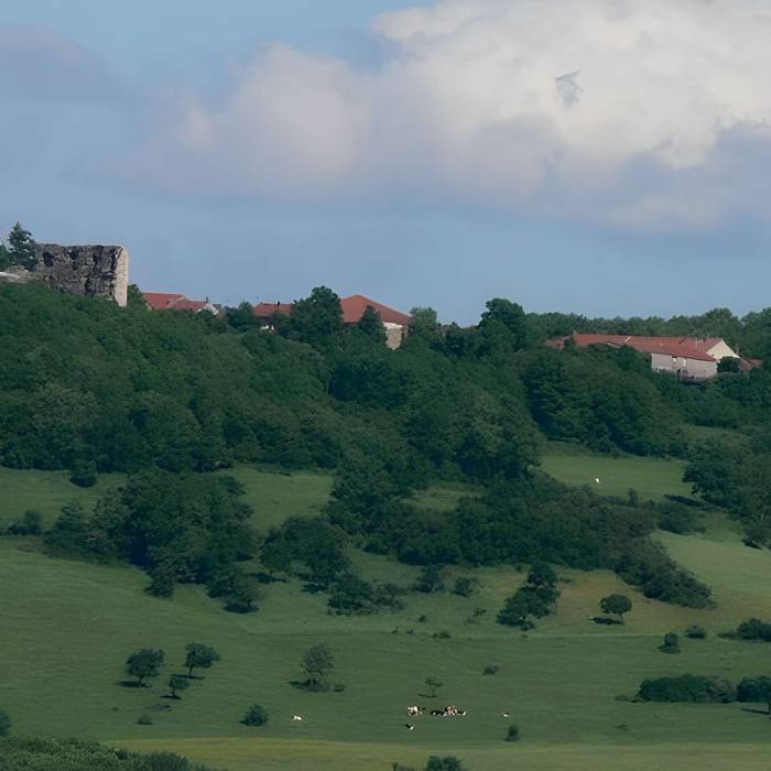 Photo de Château de Vaudémont