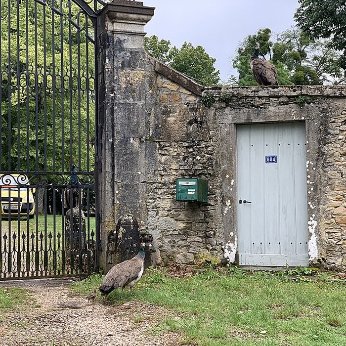 Photo de Château de Verna