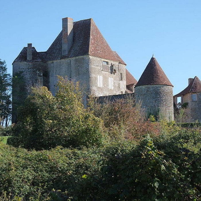 Photo de Château de Verneuil