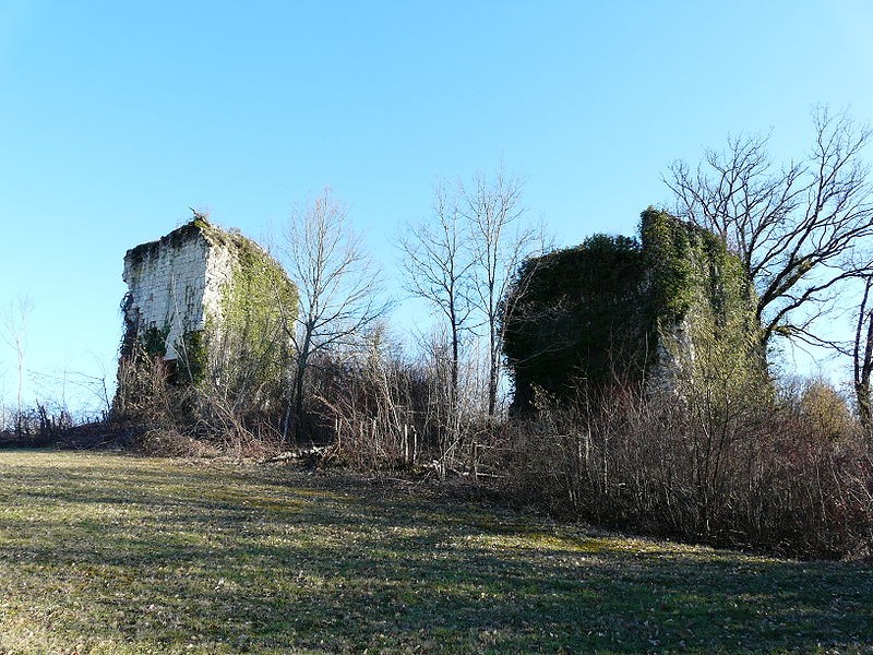 Photo de Château de Vernode