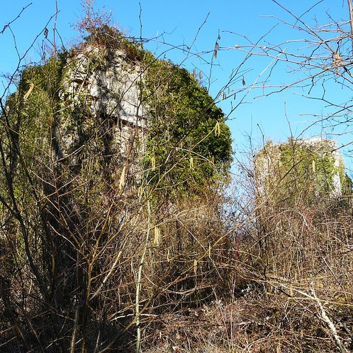 Photo de Château de Vernode
