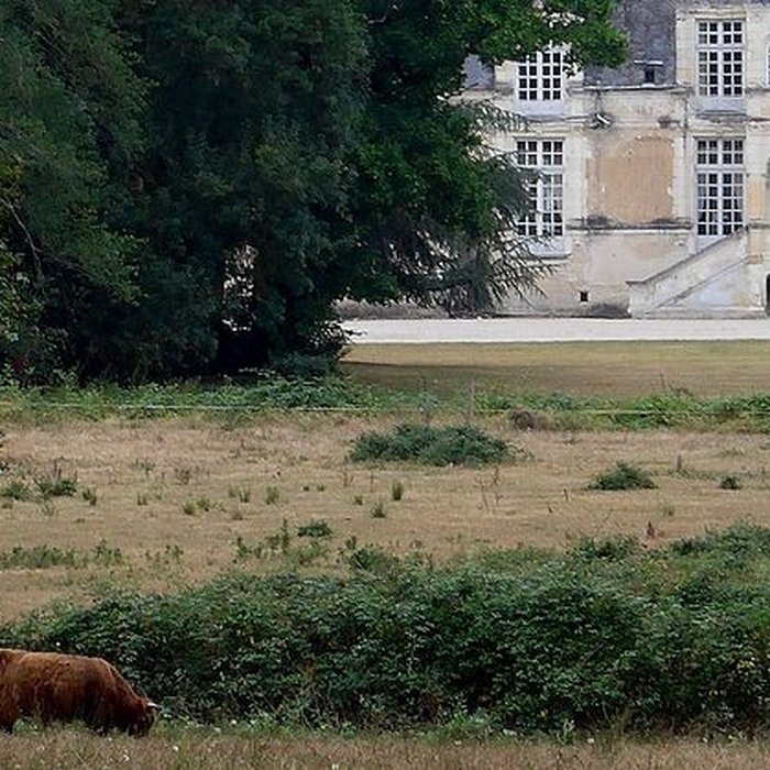 Photo de Château de Villesavin