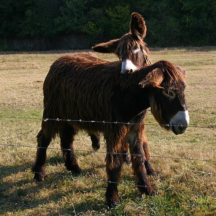 Photo de Château de Villesavin