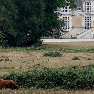 Château de Villesavin