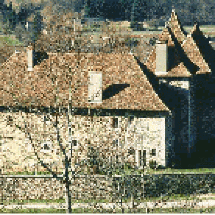 Photo de Château de Voissant