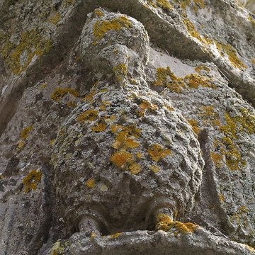 Abbaye aux dames de Saintes