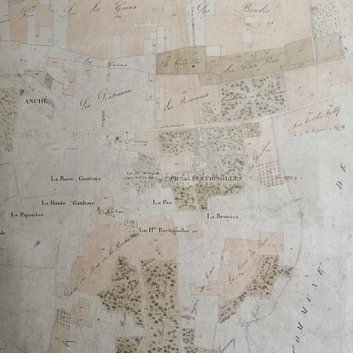 Photo de Château des Brétignolles