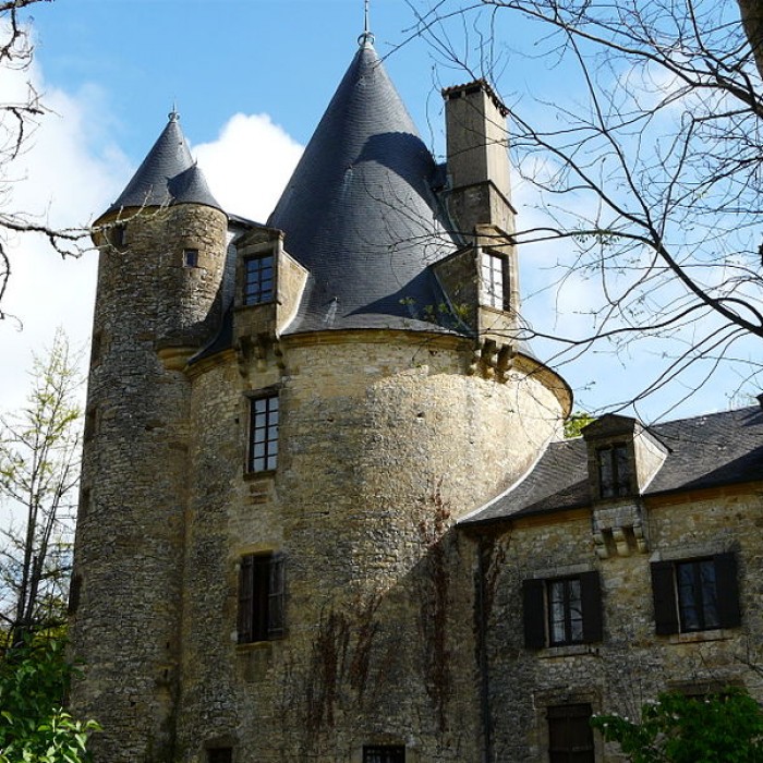 Photo de Château des Charreaux à Saint-Médard-dExcideuil