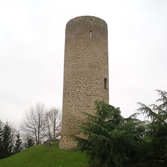 Photo de Château des comtes de Forez
